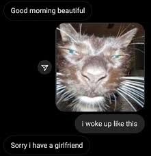 Good morning beautiful
Sorry I have a girlfriend
i woke up like this