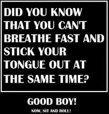 DID YOU KNOW
THAT YOU CAN'T
BREATHE FAST AND
STICK YOUR
TONGUE OUT AT
THE SAME TIME?
GOOD BOY!
NOW, SIT AND ROLL!