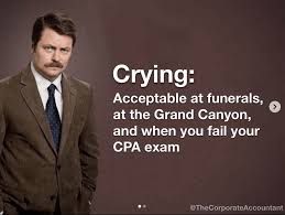 Crying:
Acceptable at funerals,
at the Grand Canyon,
and when you fail your
CPA exam
TheCorporate Accountant