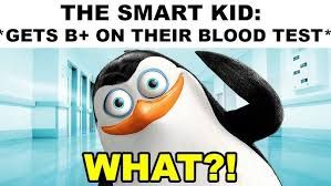 THE SMART KID:
GETS B+ ON THEIR BLOOD TEST*
WHAT?!