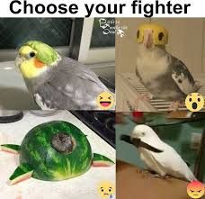 Choose your fighter
D