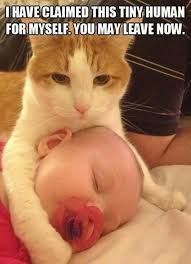 A white and orange cat rests its head on a sleeping baby. Text overlay reads, "I have claimed this tiny human for myself. You may leave now."