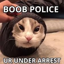 BOOB POLICE
UR UNDER ARREST