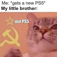 Me: *gets a new PS5*
My little brother:
*our PS5