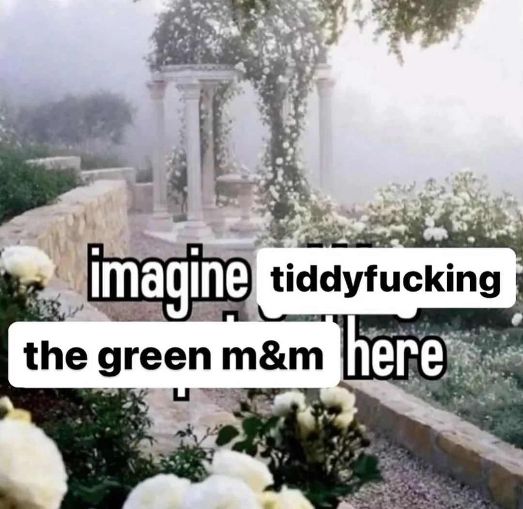 imagine tiddyfucking
the green m&m here