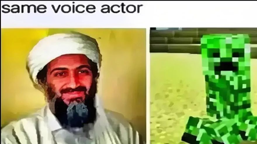 same voice actor