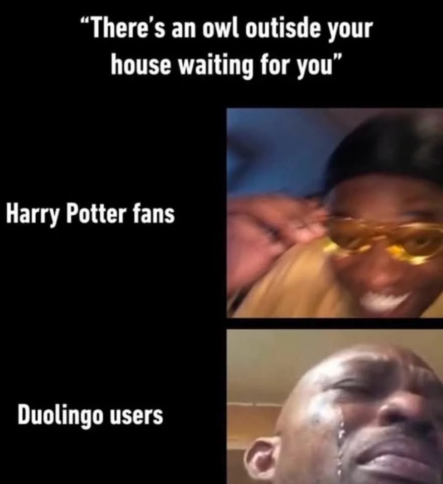 A two-panel image with the text "There's an owl outside your house waiting for you" at the top. The top panel shows a man looking excited, with the text 'Harry Potter fans' on the left. The bottom panel shows a man crying, with the text 'Duolingo users' on the left.