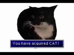 A black and white cat is shown with the text "You have acquired CAT!" in a blue box below.