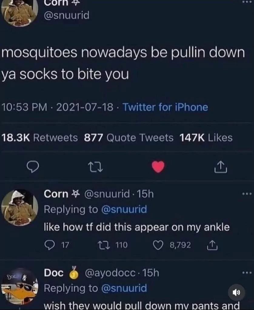 A Twitter post showing a tweet that says, "mosquitoes nowadays be pullin down ya socks to bite you." The next tweet replies, "like how tf did this appear on my ankle." The third tweet replies, "wish they would pull down my pants and."