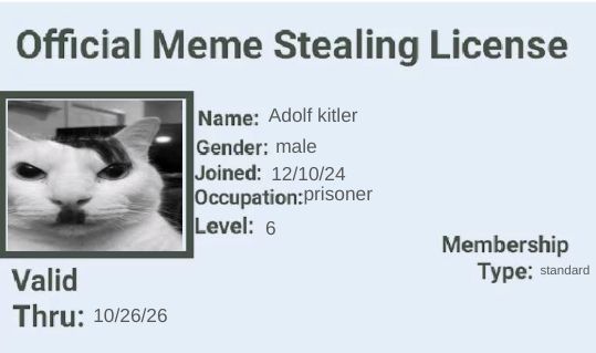 A license with the text 'Official Meme Stealing License'. It has a photo of a cat with a mustache. The license lists the name as 'Adolf kitler', gender as male, joined date as 12/10/24, occupation as prisoner, level 6, and membership type as standard. It is valid until 10/26/26.