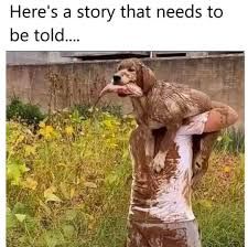 A muddy dog is being carried on a person's shoulders. Both dog and person are covered in mud. The image has a text overlay: "Here's a story that needs to be told...."