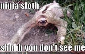 A sloth is lying on the ground with its head towards the viewer. Above the sloth, the words "ninja sloth" are written in a black box. Below the sloth, the phrase "shhhhh you don't see me" is visible.