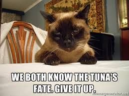 A Siamese cat sits at a table, looking grumpy, with the text: "We both know the tuna's fate. Give it up."