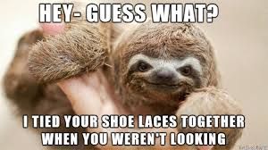 A sloth with a sly smile looking at the viewer. The text on the image says: "Hey - guess what? I tied your shoe laces together when you weren't looking."