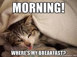 A cat wrapped in a blanket looking grumpy with the text 'MORNING! WHERE'S MY BREAKFAST?'