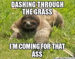 A sloth is on grass with the text: "Dashing through the grass. I'm coming for that ass."