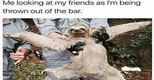 A sloth is being held by two people, with the text "Me looking at my friends as I'm being thrown out of the bar." overlaid on the image.