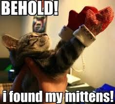 A cat is held by a person while wearing a pair of red and white mittens. The text on the image reads: "BEHOLD! I found my mittens!"