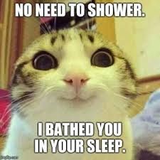 A cat with wide eyes is looking at the camera. Above the cat is written: "NO NEED TO SHOWER." Below the cat: "I BATHED YOU IN YOUR SLEEP."