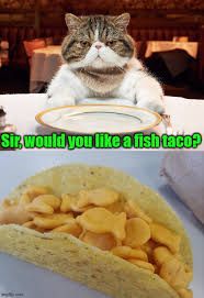 A cat is sitting at a table with a plate in front of it. The text reads "Sir, would you like a fish taco?" Below this is an image of a taco filled with goldfish crackers.