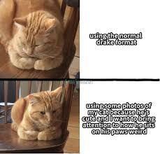 The image consists of four quadrants. The top left shows a ginger cat sitting on a chair with paws tucked in. The text in the top right says "using the normal drake format". The bottom left is another photo of the same cat in a similar pose. The bottom right says "using some photos of my cat because he's cute and I want to bring attention to how he sits on his paws weird."