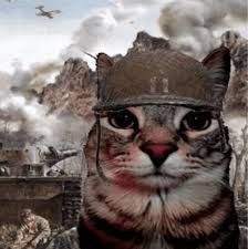 A cat wearing a military helmet is superimposed on a war scene with explosions, smoke, a plane, and a soldier in the background.