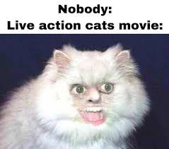 A white cat with human-like facial features, with the text "Nobody: Live action cats movie:" above it.