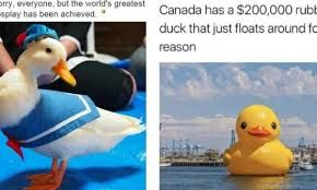 The image shows two panels. On the left, there's a photo of a white duck wearing a sailor outfit. On the right, there's a large yellow rubber duck floating in water near a city. The text in the left panel says, "Sorry, everyone, but the world's greatest splay has been achieved." The text in the right panel says, "Canada has a $200,000 rubber duck that just floats around for no reason."