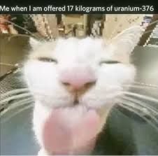 A white cat with its tongue sticking out and eyes closed, as if savoring something. Text above the cat reads: "Me when I am offered 17 kilograms of uranium-376."