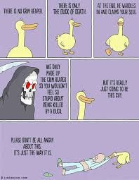 The image is a six-panel comic strip. In the first panel, a yellow duck stands alone, and the text reads, "There is no grim reaper." In the second panel, the same duck stands with the text, "There is only the duck of death." In the third panel, the duck is walking, and the text says, "At the end he waddles in and claims your soul." In the fourth panel, a Grim Reaper is next to text that reads, "We only made up the grim reaper so you wouldn't feel so stupid about being killed by a duck." In the fifth panel, the duck stands with the text "But it's really just going to be this cute." In the final panel, the same duck is pulling a person by their foot. The person is lying on the ground with the text, "Please don't be all angry about this. It's just the way it is."