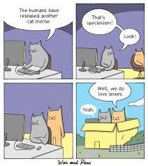 A four-panel comic strip shows cats reacting to a new cat meme. The first panel shows one cat in front of a computer saying, "The humans have released another cat meme." The second panel shows a second cat responding with, "That's speciesism!" The third panel shows the first cat pointing to a box with two other cats in it saying "Look!" The last panel shows the cats in the box responding with, "Well, we do love boxes." and "Yeah."