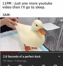 The image shows a white duck. The text above says '11PM: Just one more youtube video then I'll go to sleep' and below '3AM:' and a screenshot of a youtube video that is titled '2.8 Seconds of a perfect duck'