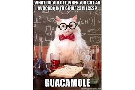 A white cat wearing glasses and a bow tie is sitting at a table with scientific glassware. There is a blackboard behind it with formulas on it. The text reads: "What do you get when you cut an avocado into 6x10^23 pieces? Guacamole."