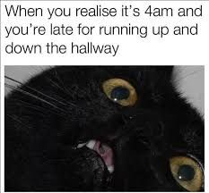 A black cat with wide eyes and mouth open. Text says: "When you realise it's 4am and you're late for running up and down the hallway."