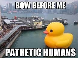 A giant yellow rubber duck sits in the water with a city and pier in the background. The text above the duck says, "BOW BEFORE ME" and the text below the duck says, "PATHETIC HUMANS".