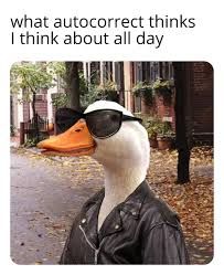 A duck wearing a black leather jacket and sunglasses stands against a blurred background with text that reads, "what autocorrect thinks I think about all day."