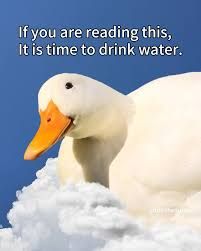 A white duck with a yellow beak is floating on a cloud. The text says: "If you are reading this, it is time to drink water."