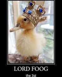 A fluffy yellow duckling wears a golden crown with blue jewels. The text below the duck reads "LORD FOOG the 3st".