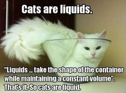 A white cat is sitting in a transparent glass bowl. The text says, "Cats are liquids". Then it quotes the definition of liquid and says, "That's it. So cats are liquid."