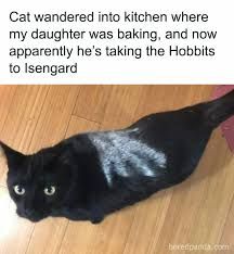 A black cat with a white paw print on its back lies on a wooden floor. The text says: "Cat wandered into kitchen where my daughter was baking, and now apparently he's taking the Hobbits to Isengard."