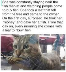 A cat is looking forward, holding a leaf in its mouth. Text on the image reads: She was constantly staying near the fish market and watching people come to buy fish. She took a leaf that fell from the tree and came to the owner. On the first day, surprised, he took her "money" and gave her a fish. From that day on, every morning she comes with a leaf to "buy" fish.