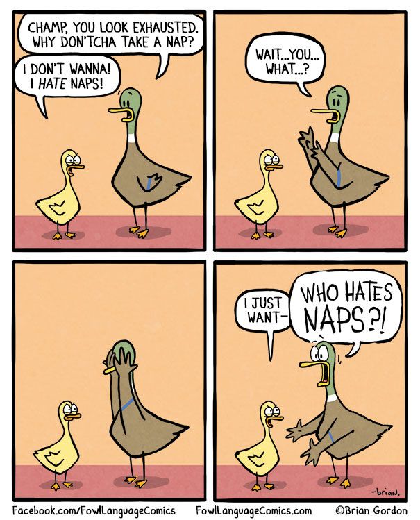 A four-panel comic strip shows two ducks. In the first panel, one duck tells the other, "Champ, you look exhausted. Why don'tcha take a nap?" In the second panel, the other duck says, "I don't wanna! I hate naps!" The first duck responds with, "Wait...you...what...?" In the fourth panel, the second duck exclaims, "I just want- who hates naps?!"