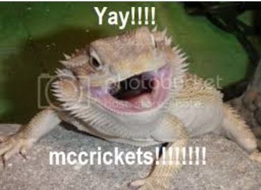 A lizard with its mouth wide open looking excited. The text says, "Yay!!!!" above the lizard and "mccrickets!!!!!!" below it.