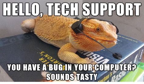 A bearded dragon is wearing a headset and laying on top of a book with the text: "HELLO, TECH SUPPORT. YOU HAVE A BUG IN YOUR COMPUTER? SOUNDS TASTY."