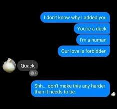 A chat between a duck and a human. The duck says "Quack". The human states: "I don't know why I added you." Then they state: "You're a duck. I'm a human. Our love is forbidden." And the duck states: "Shh... don't make this any harder than it needs to be."