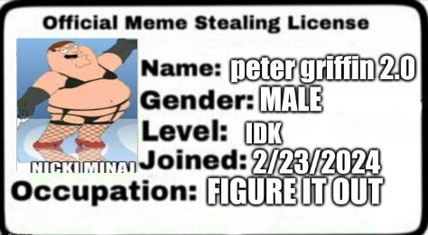 The image shows a white card with black text that reads "Official Meme Stealing License". There is a picture of a cartoon character resembling Peter Griffin wearing a black lingerie outfit and red high heels in the upper left corner. The card also states the following: "Name: peter griffin 2.0", "Gender: MALE", "Level: IDK", "Joined: 2/23/2024", and "Occupation: FIGURE IT OUT". The text "NICKI MINAJ" is below the character in the picture.