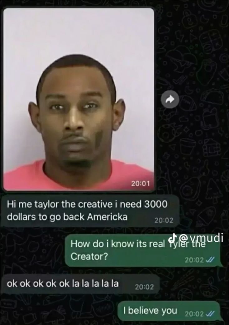 The image shows a conversation in a messenger app. The profile picture is a mugshot of a person. The first message reads, "Hi me taylor the creative i need 3000 dollars to go back Americka."  The response to the message reads, "How do i know its real tyler the creator?"  Followed by "ok ok ok ok ok la la la la la". The final message reads, "I believe you".