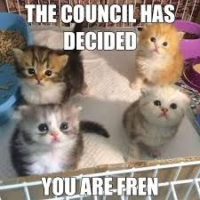 A picture shows four adorable kittens in a cage. Above the kittens are the words "THE COUNCIL HAS DECIDED" and below are the words "YOU ARE FREN".