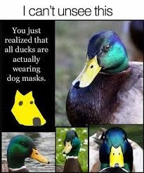 The image shows four pictures of ducks with the text "I can't unsee this" above them. Under that text is more text: "You just realized that all ducks are actually wearing dog masks." To the left of the ducks is a yellow drawing of a dog mask.