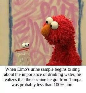 The image shows Elmo looking confused to the right. To his left is a clear cup with a pair of eyes floating on top. The text reads, "When Elmo's urine sample begins to sing about the importance of drinking water, he realizes that the cocaine he got from Tampa was probably less than 100% pure."